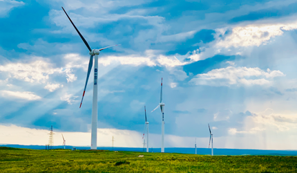 �ڷ���Ч����