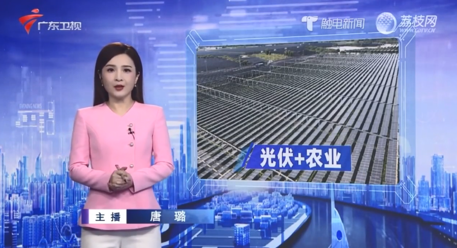 ���㶫���ӡ������ֲ˰��ϡ��֡��� ̽�������˴��µ�·